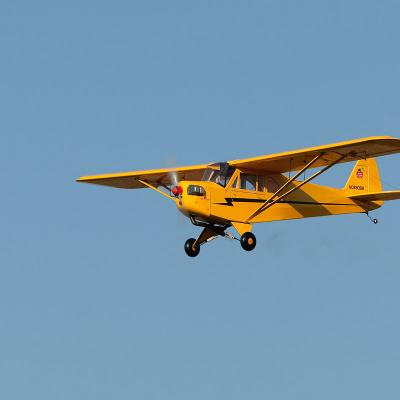 Piper1 1