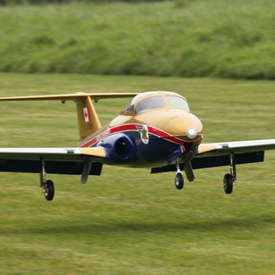 Dpp 0031