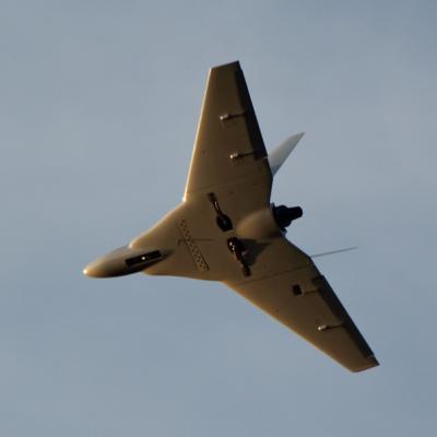 Hornet Berflug