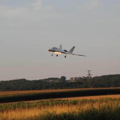 Hornet Landung11