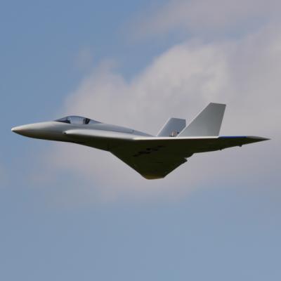 Hornet1 1