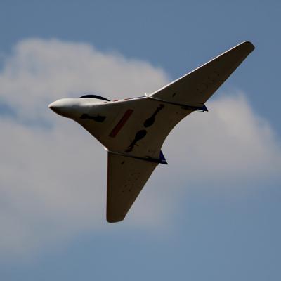 Kangaroo Berflug3