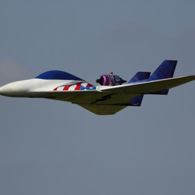Kangaroo3 1