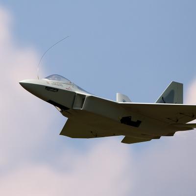 Raptor