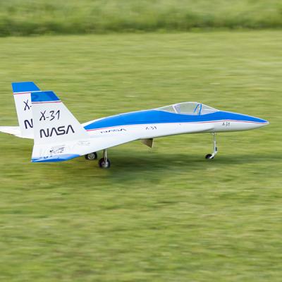 Wild Hornet6