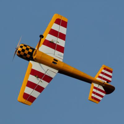 Yak 55 1