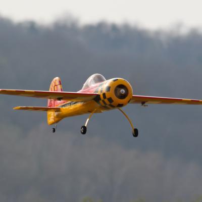 Yak 55 3