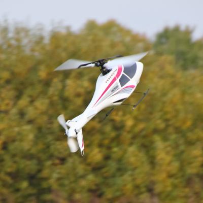 Dpp 0029 1