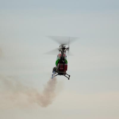 Nitro Rex1